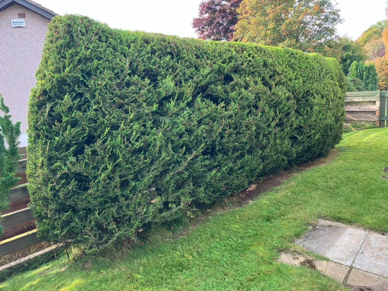 star-fencing-patio